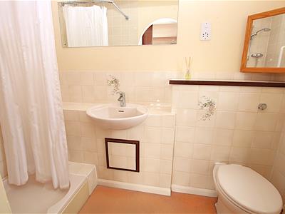 Picture 11